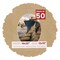 Beige Suede Mat Board for 16x20 Frames - Oval Opening for 12x16 Photos